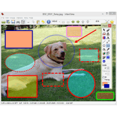 Paint PlugIn dialog