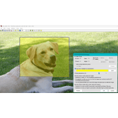 Add Watermark/Overlay dialog