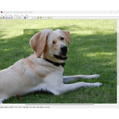 Zoom Magnifier