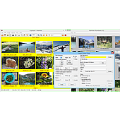Thumbnails window: Create Contact Sheet dialog